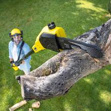 Lawn Watering Services in Hasley Canyon, CA